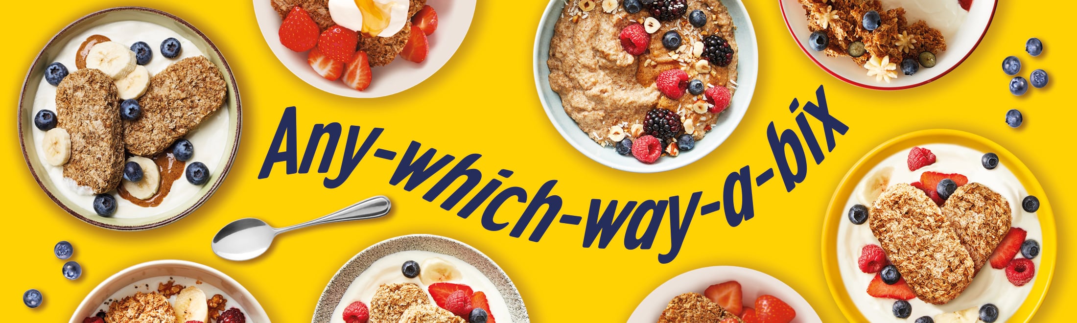 ANYWHICHWAY_BANNER_DESKTOP